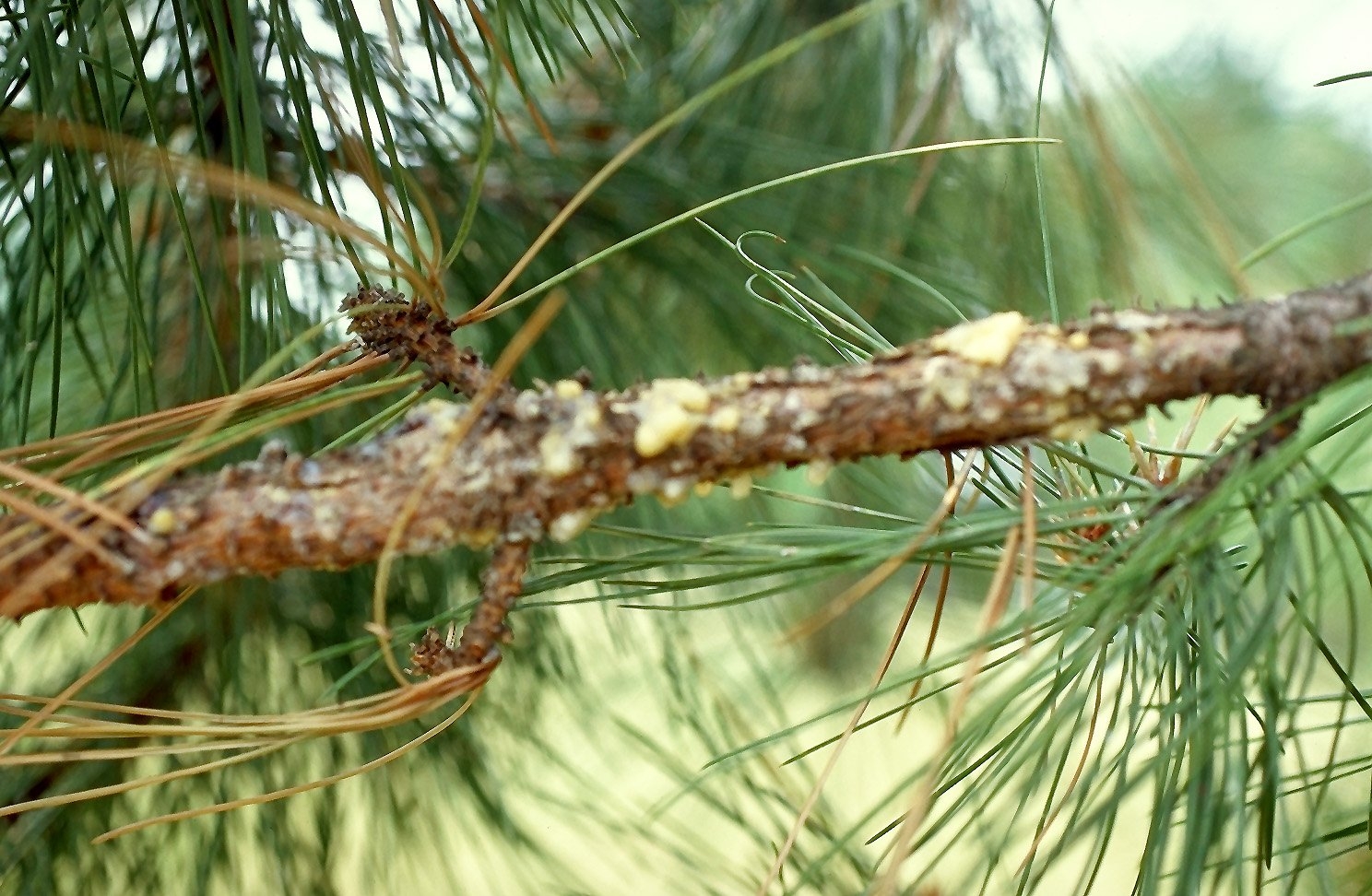 Image 9